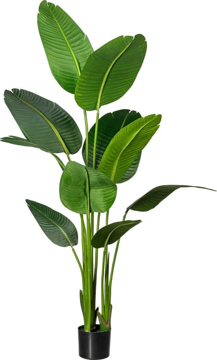 Kopu ® kunstplant strelitzia nicolai 160 cm paradijsvogelplant 10 blad