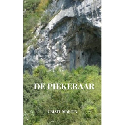 De Piekeraar - Cristi Martin