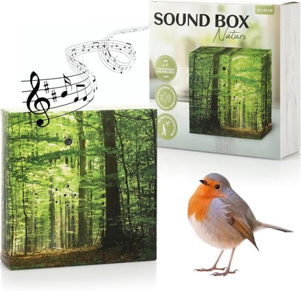 Geluid Box Natuur - Muziekdoosje Relax - Ontspanning Thuis - Bewegingssensor Actief - 12 cm - Natuurlijk