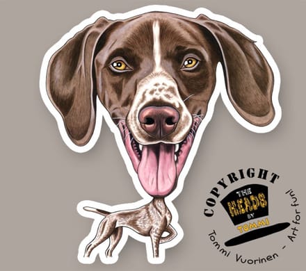 Magneet Hond Duitse Kortharige Pointer