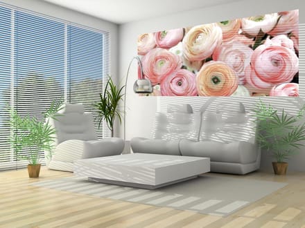 Flowers Peonies Colours Photo Wallcovering