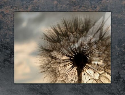 TMK ArtDeko - Snijplank - 70x52 cm - Bloem Design - Gehard Glas