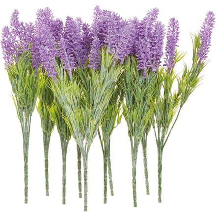 VBS Lavendel pluk "Lavendula", 10 stuks