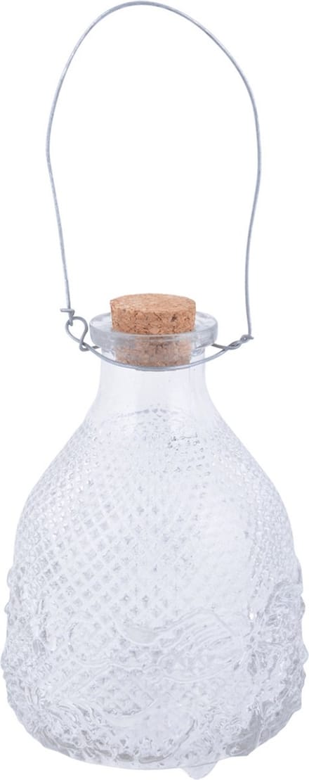 Wespenvanger/wespenval transparant glas 14 cm - Insectenvangers/insectenvallen