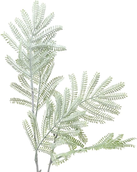 Siertak mimosa groen frost effect 63cm