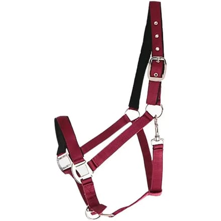 Nylon gevoerd paardenhalster Canter