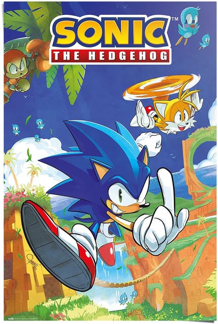 Poster Sonic the Hedgehog - sonic & tails - 91,5 x 61 - Papier - REINDERS