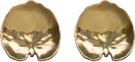 Costa Nova Riviera servies Alchemille bord 17 cm goud set van 2 - fijn aardewerk