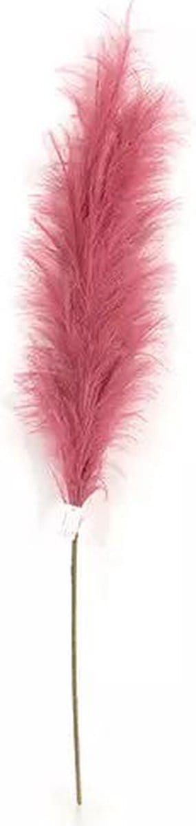 Pampas Gras 60 cm Donker rood kunstplant Buitengewoon de Boet