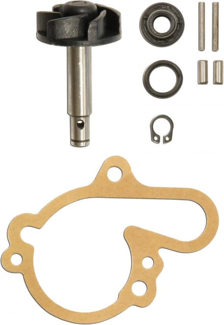 Sifam-waterpomp voor Beta 50 RR Enduro (2003-2015), nieuw