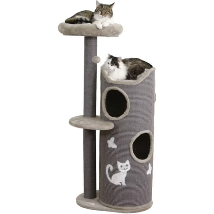 Kattenboom Kerbl Tiana
