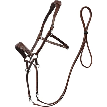 Bitloze hoofdstellen voor paarden Edix Saddles ED1-Rose