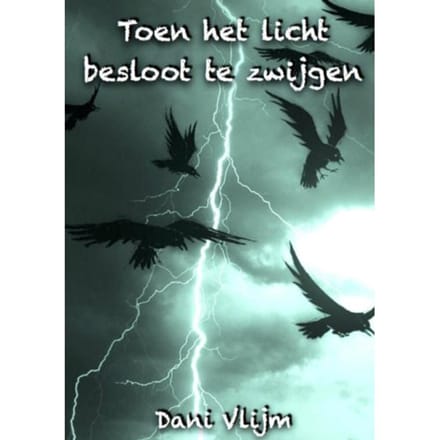 Toen Het Licht Besloot Te Zwijgen - Dani Vlijm