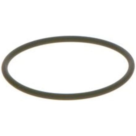 Element CR pomp  BOSCH F 00N 202 130