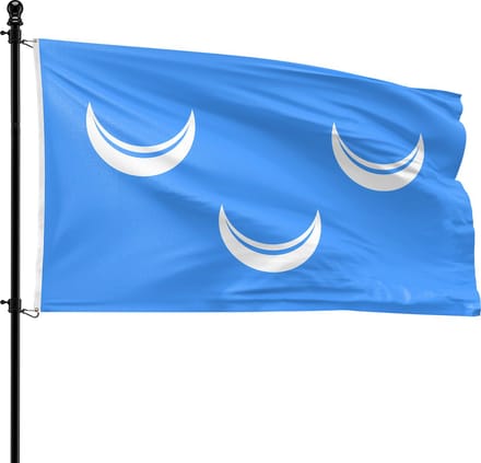 VlagDirect - Wassenaar vlag - Gemeente Wassenaar vlag - 90 x 150 cm.