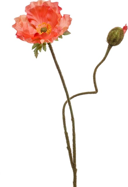 Emerald - Kunstbloem Klaproos 74cm peach - Kunstplant voor binnen