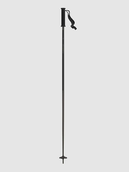 Atomic Park Ski Stokken patroon