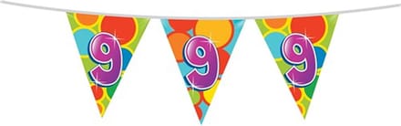 Haza Vlaggetjes - 9 jaar - leeftijd verjaardag - plastic - 10 meter