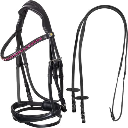 Anatomisch hoofdstel Equestro