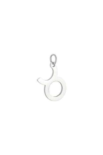 Hanger - chinees sterrenbeeld - stainless steel - zilver - kado - kerst