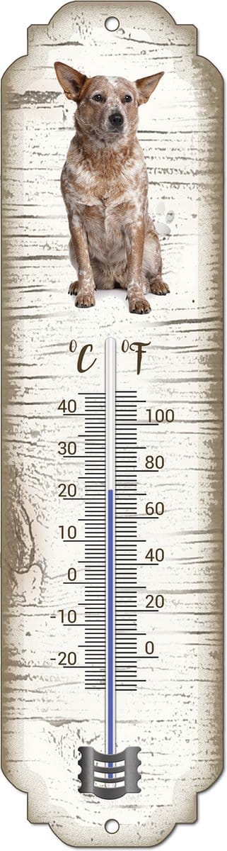 Thermometer: Australian Cattle Dog | Hondenras | Temperatuur binnen en buiten | -25 tot +45C
