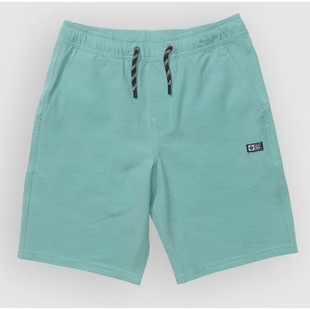 Salty Crew Drifter  Elastic Hybrd Kids Korte Broek patroon