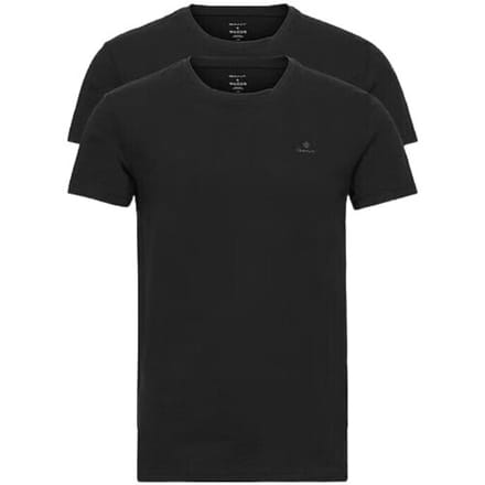 Heren Ondergoed V-HALS T-SHIRT 2P GANT L