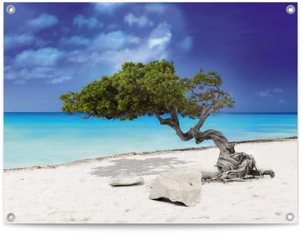 Tuinposter Tropisch Eiland - 60 x 80 - Canvas - REINDERS