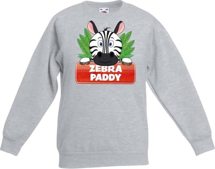 Paddy de zebra sweater grijs voor kinderen - unisex - zebra trui - kinderkleding / kleding 170/176