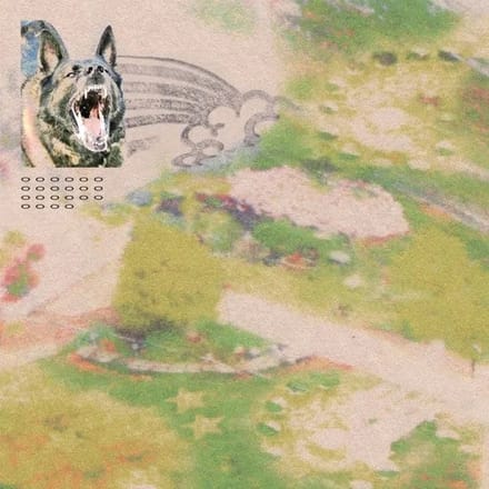 Feeble Little Horse - Girl With Fish (CD)