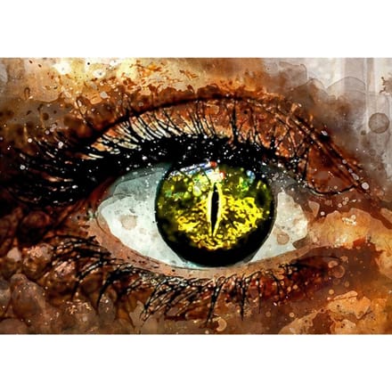Volledige ronde boor 5D DIY Eye Diamond schilderij kruissteek diamant borduurwerk 20X30CM black