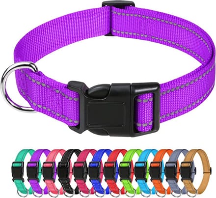 Reflecterende Hondenhalsband - Halsband hond - Reflecterend - Paars - Maat S - 30/40 CM