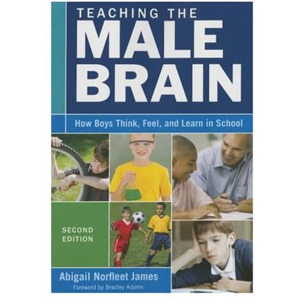 Teaching The Male Brain: How Boys Think, Feel, And Learn In School - James