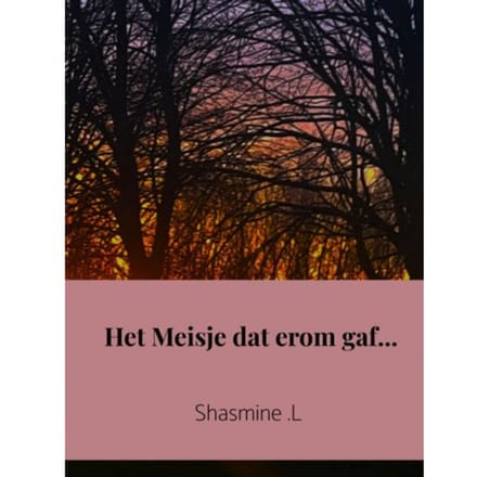 Het Meisje Dat Erom Gaf... - Shasmine .L