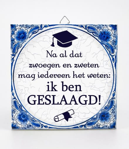 Tegels delfts blauw - Geslaagd school