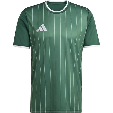 Adidas Entrada 26 Graphic T-shirt Met Korte Mouwen Groen M / Regular Man