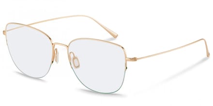 Rodenstock R7132 Gold 55/16/145 UNISEX Brilmonturen