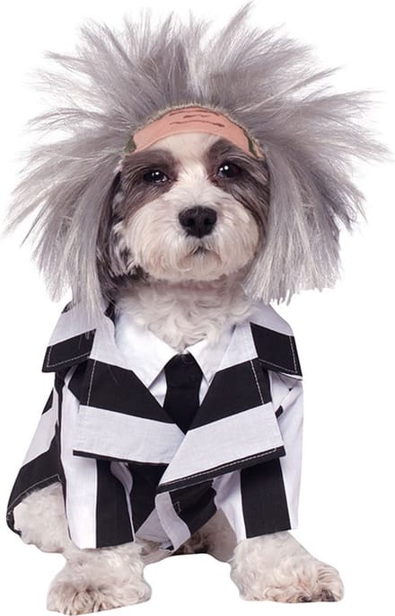 Rubies - Beetlejuice kostuum honden (maat S)