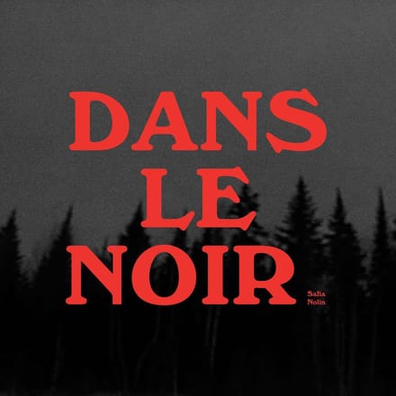 Dans le noir