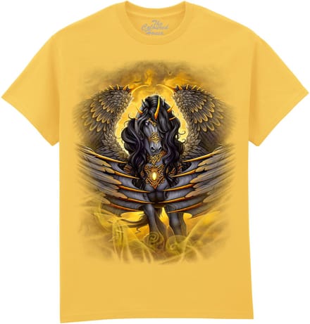 Black Pegasus The Coloured House T-shirt S