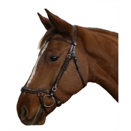 Anatomisch paardrijden toom voor paard Canter Cayman