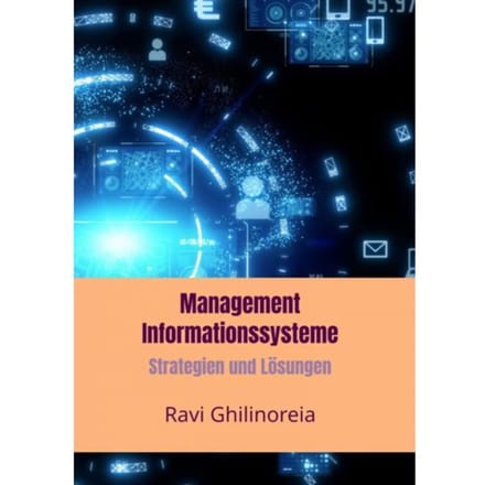 Management Informationssysteme - Ravi Ghilinoreia