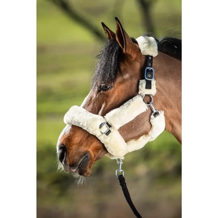 Synthetisch schaap halster schede HFI Cosy