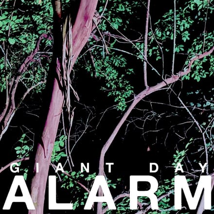 Alarm