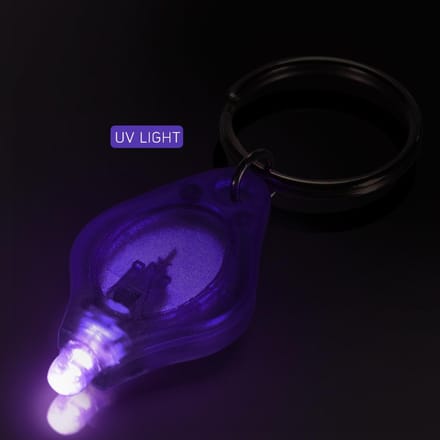 10*Mini draagbare sleutelhanger licht zaklamp sleutelhanger licht zaklamp UV-controle 10 pcs paars