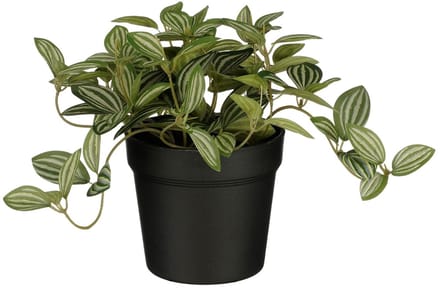 Kunstplant mica tradescantia in pot 16x16cm | 6 stuks