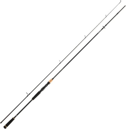 Allround Vaste Stok 300 cm, 30-90 gram Werpgewicht voor Diverse Vissoorten