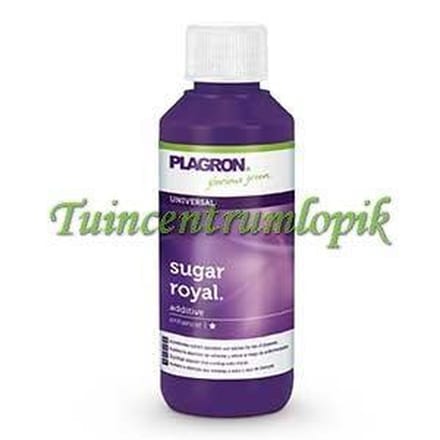 PLAGRON SUGAR ROYAL 100 ML