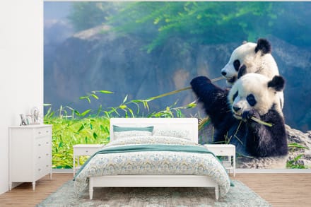 Behang - Fotobehang Panda - Bamboe - Gras - Dieren - Breedte 295 cm x hoogte 220 cm