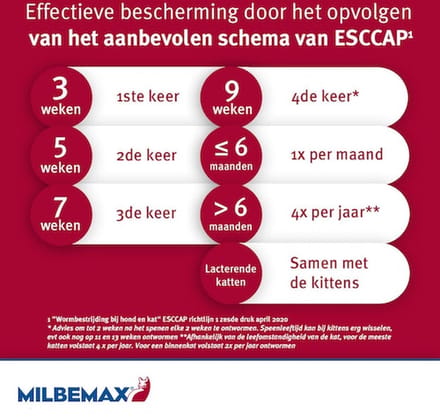 Milbemax - grote kat - 16 tabletten